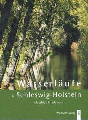 Wasserläufe in Schleswig-Holstein de Matthias Friedemann