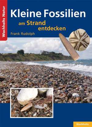 Kleine Fossilien am Strand entdecken de Frank Rudolph