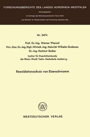 Reoxidationsschutz von Eisenschwamm de Werner Wenzel