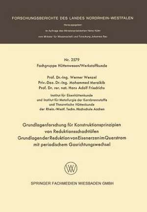 Grundlagenforschung für Konstruktionsprinzipien von Reduktionsschachtöfen: Grundlagen der Reduktion von Eisenerzen im Querstrom mit periodischem Gasrichtungswechsel de Werner Wenzel