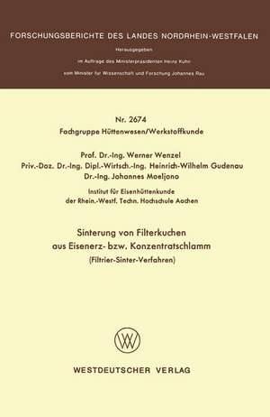 Sinterung von Filterkuchen aus Eisenerz- bzw. Konzentratschlamm: Filtrier-Sinter-Verfahren de Werner Wenzel