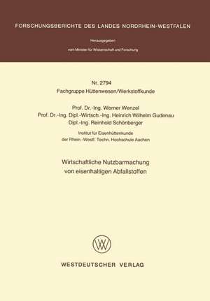 Wirtschaftliche Nutzbarmachung von eisenhaltigen Abfallstoffen de Werner Wenzel