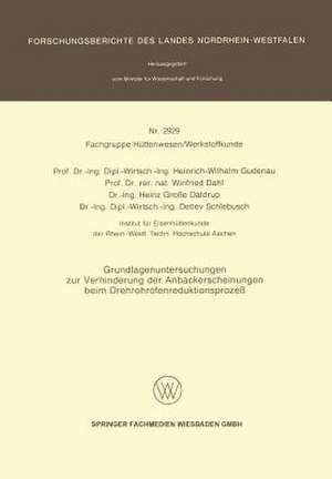 Grundlagenuntersuchungen zur Verhinderung der Anbackerscheinungen beim Drehrohrofenreduktionsprozeß de Heinrich-Wilhelm Gudenau