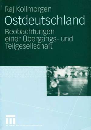 Ostdeutschland: Beobachtungen einer Übergangs- und Teilgesellschaft de Raj Kollmorgen