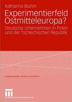 Experimentierfeld Ostmitteleuropa?: Deutsche Unternehmen in Polen und der Tschechischen Republik de Katharina Bluhm