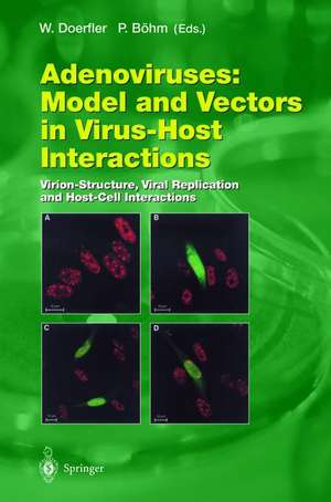 Adenoviruses: Model and Vectors in Virus-Host Interactions: Virion-Structure, Viral Replication and Host-Cell Interactions de Walter Doerfler