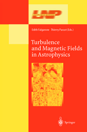 Turbulence and Magnetic Fields in Astrophysics de Edith Falgarone