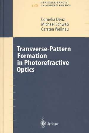 Transverse-Pattern Formation in Photorefractive Optics de Cornelia Denz