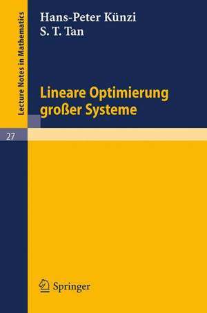 Lineare Optimierung großer Systeme de H. P. Künzi