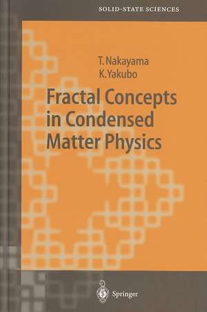 Fractal Concepts in Condensed Matter Physics de Tsuneyoshi Nakayama