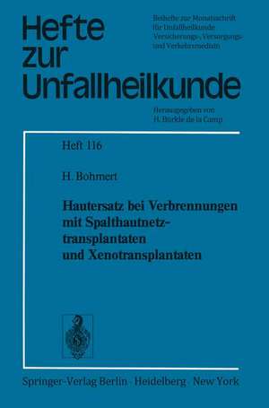 Hautersatz bei Verbrennungen mit Spalthautnetztransplantaten und Xenotransplantaten de H. Bohmert