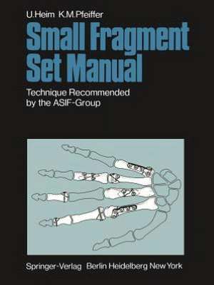 Small Fragment Set Manual: Technique Recommanded by the ASIF-Group de H.C. Meuli