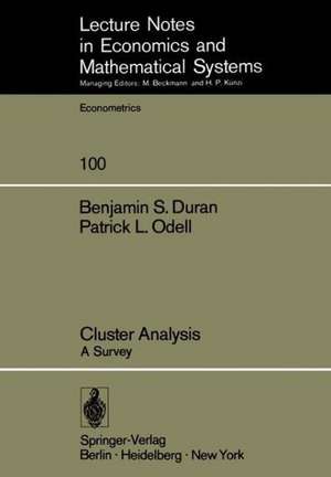 Cluster Analysis: A Survey de B. S. Duran