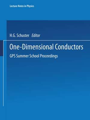 One-Dimensional Conductors: GPS Summer School Proceedings de H.G. Schuster