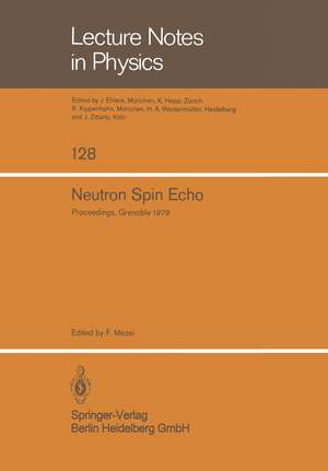 Neutron Spin Echo: Proceedings of a Laue-Langevin Institut Workshop Grenoble, October 15–16, 1979 de F. Mezei