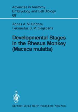 Developmental Stages in the Rhesus Monkey (Macaca mulatta) de A. A. M. Gribnau