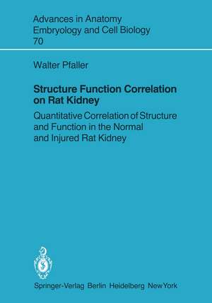 Structure Function Correlation on Rat Kidney: Quantitative Correlation of Structure and Function in the Normal and Injured Rat Kidney de Walter Pfaller