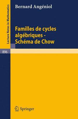 Familles de Cycles Algebriques - Schema de Chow de Bernard Angeniol