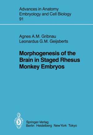 Morphogenesis of the Brain in Staged Rhesus Monkey Embryos de A. A. M. Gribnau