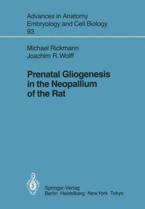 Prenatal Gliogenesis in the Neopallium of the Rat de Michael Rickmann