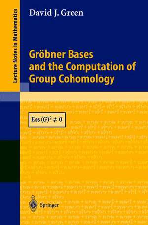 Gröbner Bases and the Computation of Group Cohomology de David J. Green