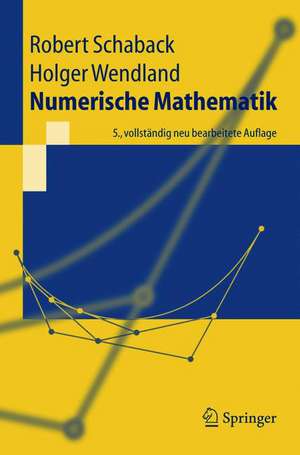 Numerische Mathematik de Robert Schaback