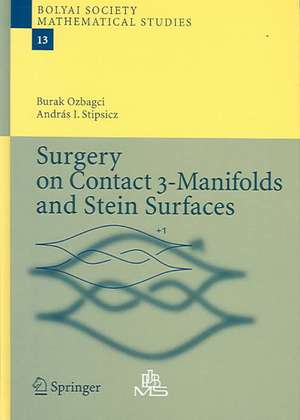 Surgery on Contact 3-Manifolds and Stein Surfaces de Burak Ozbagci