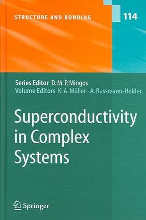 Superconductivity in Complex Systems de Karl Alexander Müller