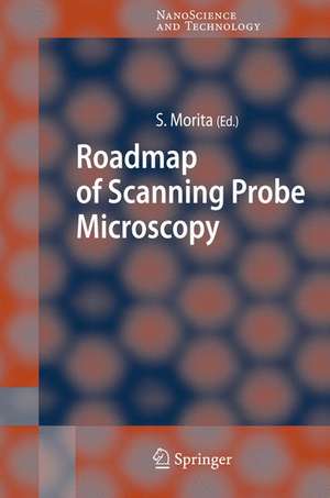 Roadmap of Scanning Probe Microscopy de Seizo Morita