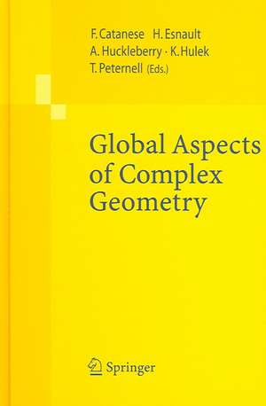 Global Aspects of Complex Geometry de Fabrizio Catanese