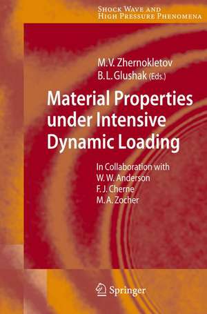 Material Properties under Intensive Dynamic Loading de Mikhail V. Zhernokletov