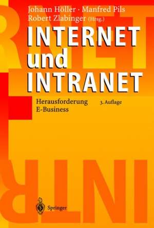 Internet und Intranet: Herausforderung E-Business de Johann Höller