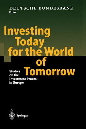 Investing Today for the World of Tomorrow: Studies on the Investment Process in Europe de Deutsche Bundesbank