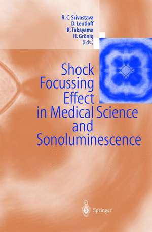 Shock Focussing Effect in Medical Science and Sonoluminescence de Ramesh C. Srivastava