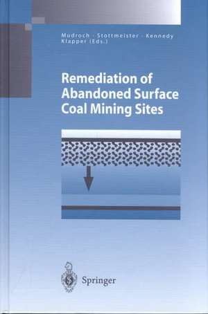 Remediation of Abandoned Surface Coal Mining Sites: A NATO-Project de Alena Mudroch