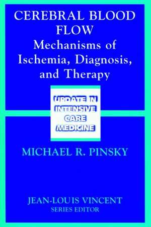 Cerebral Blood Flow: Mechanisms of Ischemia, Diagnosis, and Therapy de Michael Pinsky