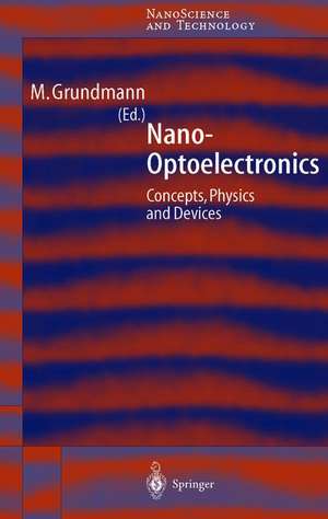 Nano-Optoelectronics: Concepts, Physics and Devices de Marius Grundmann