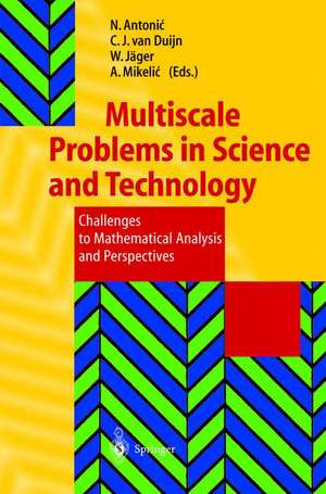 Multiscale Problems in Science and Technology: Challenges to Mathematical Analysis and Perspectives de Nenad Antonic