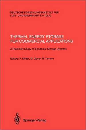 Thermal Energy Storage for Commercial Applications: A Feasibility Study on Economic Storage Systems de Frank Dinter