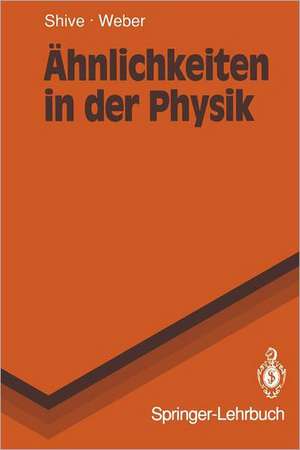 Ähnlichkeiten in der Physik: Zusammenhänge erkennen und verstehen de John N. Shive