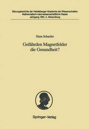 Gefährden Magnetfelder die Gesundheit?: Vorgelegt in der Sitzung vom 4. Mai 1991 de Hans Schaefer