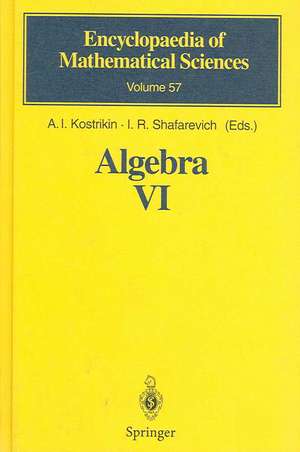 Algebra VI: Combinatorial and Asymptotic Methods of Algebra. Non-Associative Structures de A.I. Kostrikin