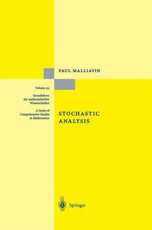 Stochastic Analysis de Paul Malliavin