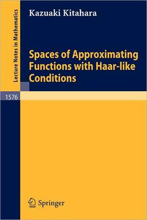 Spaces of Approximating Functions with Haar-like Conditions de Kazuaki Kitahara