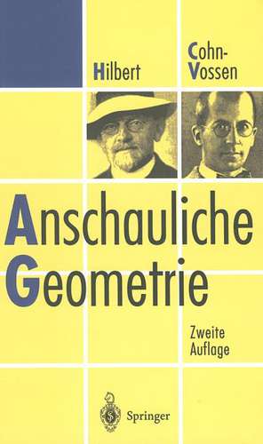 Anschauliche Geometrie de David Hilbert