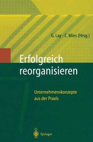 Erfolgreich Reorganisieren: Unternehmenskonzepte aus der Praxis de Gunter Lay