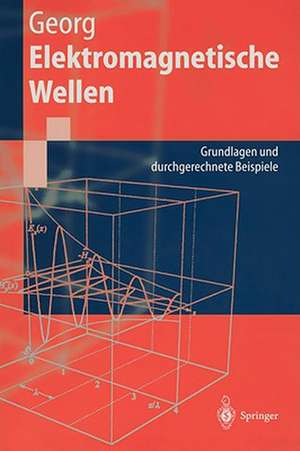 Elektromagnetische Wellen: Grundlagen und durchgerechnete Beispiele de Otfried Georg