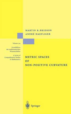 Metric Spaces of Non-Positive Curvature de Martin R. Bridson