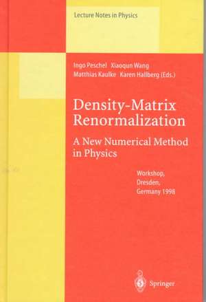 Density-Matrix Renormalization - A New Numerical Method in Physics: Lectures of a Seminar and Workshop held at the Max-Planck-Institut für Physik komplexer Systeme, Dresden, Germany, August 24th to September 18th, 1998 de Ingo Peschel