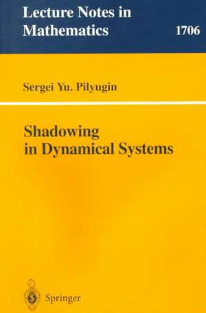 Shadowing in Dynamical Systems de Sergei Yu. Pilyugin